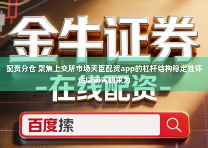 配资分仓 聚焦上交所市场天臣配资app的杠杆结构稳定性评估以前置约束为
